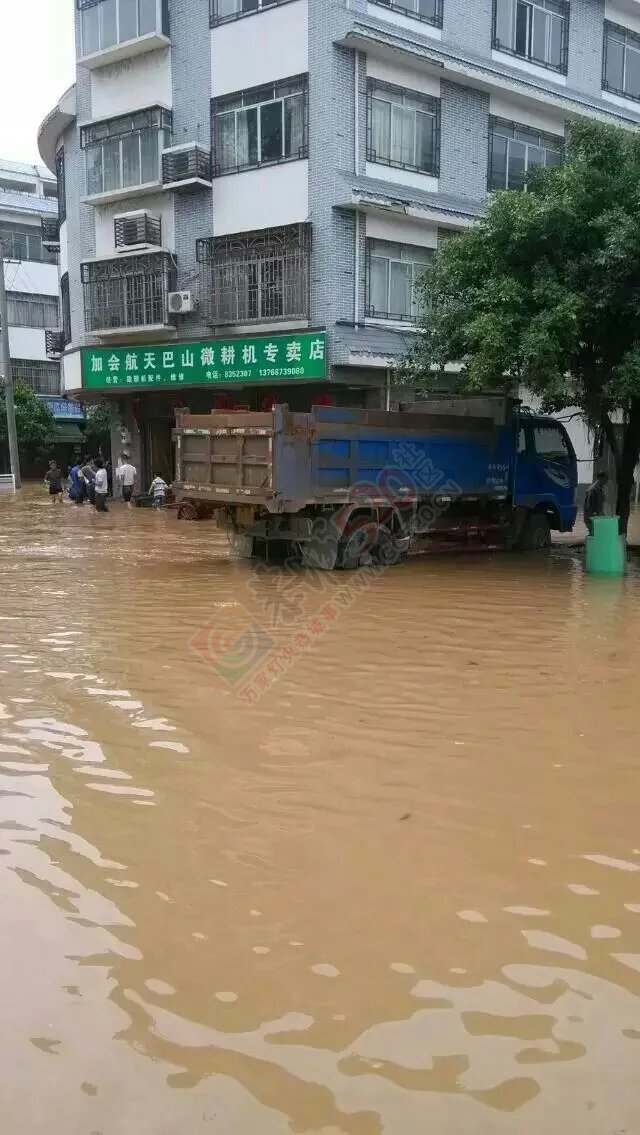 共同祈祷，老天，停停雨吧！850 / 作者:猫小萌 / 帖子ID:116369