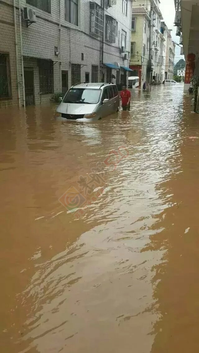 共同祈祷，老天，停停雨吧！693 / 作者:猫小萌 / 帖子ID:116369