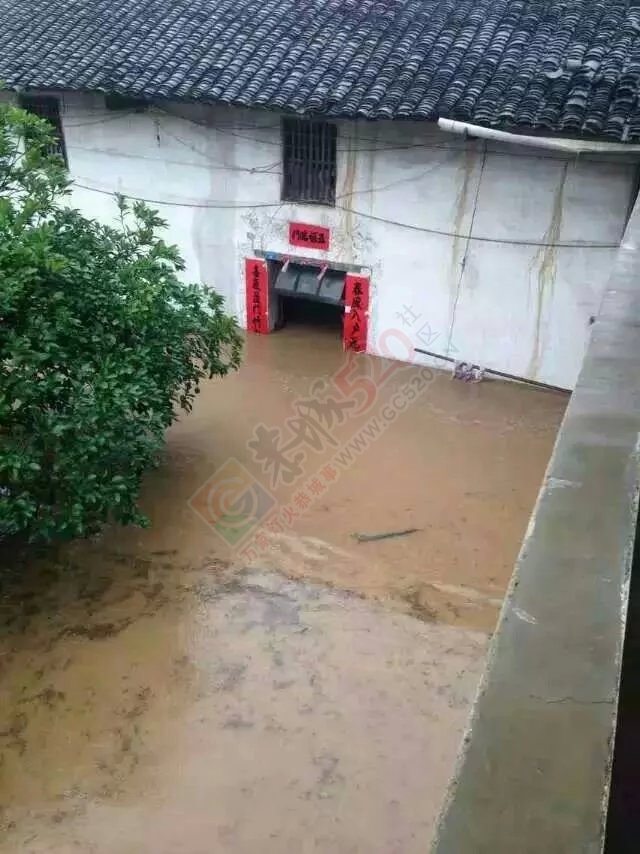 共同祈祷，老天，停停雨吧！569 / 作者:猫小萌 / 帖子ID:116369