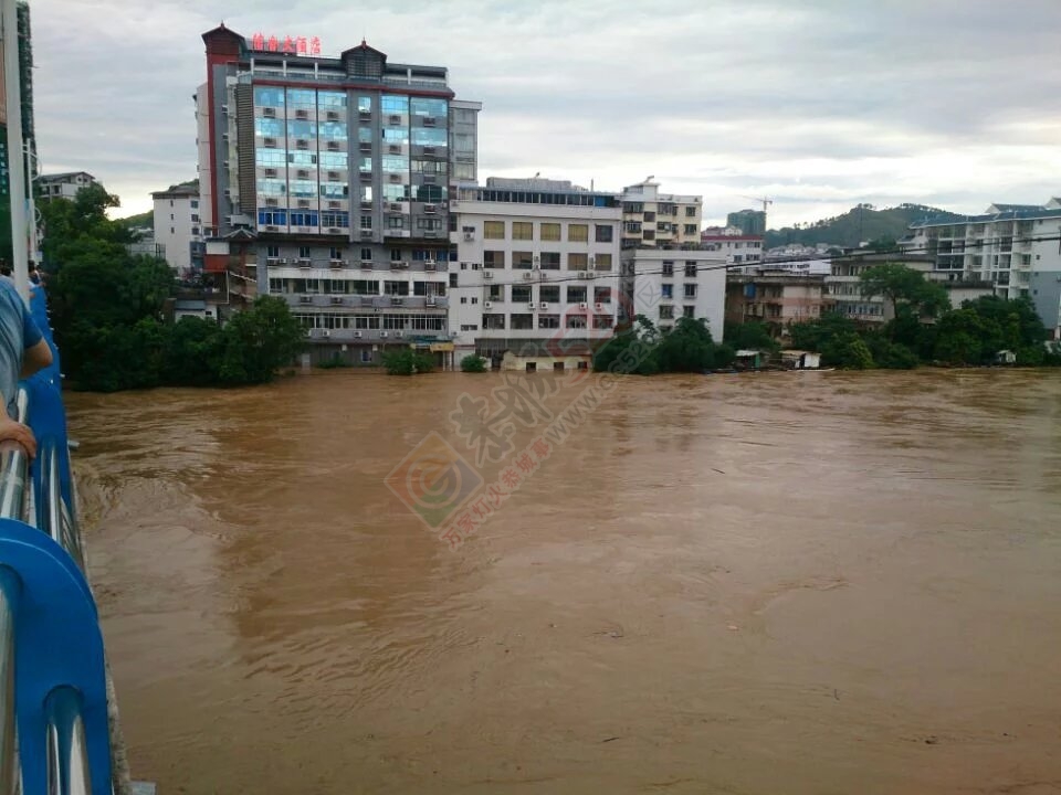 共同祈祷，老天，停停雨吧！632 / 作者:猫小萌 / 帖子ID:116369