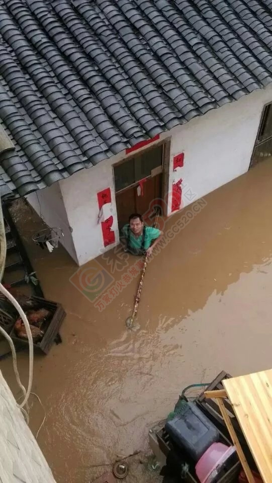 共同祈祷，老天，停停雨吧！708 / 作者:猫小萌 / 帖子ID:116369