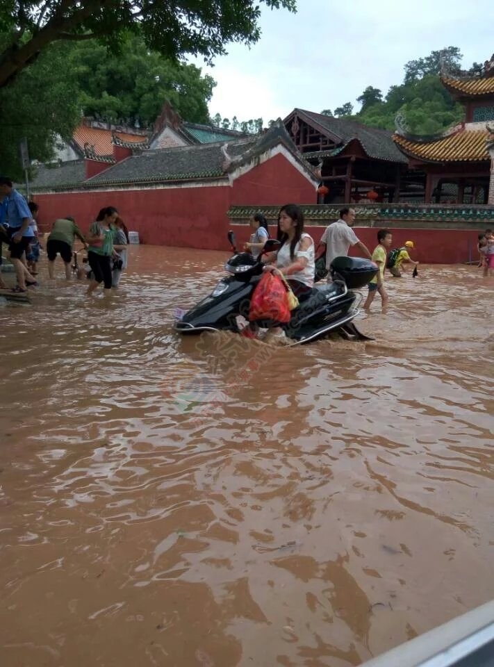 共同祈祷，老天，停停雨吧！870 / 作者:猫小萌 / 帖子ID:116369