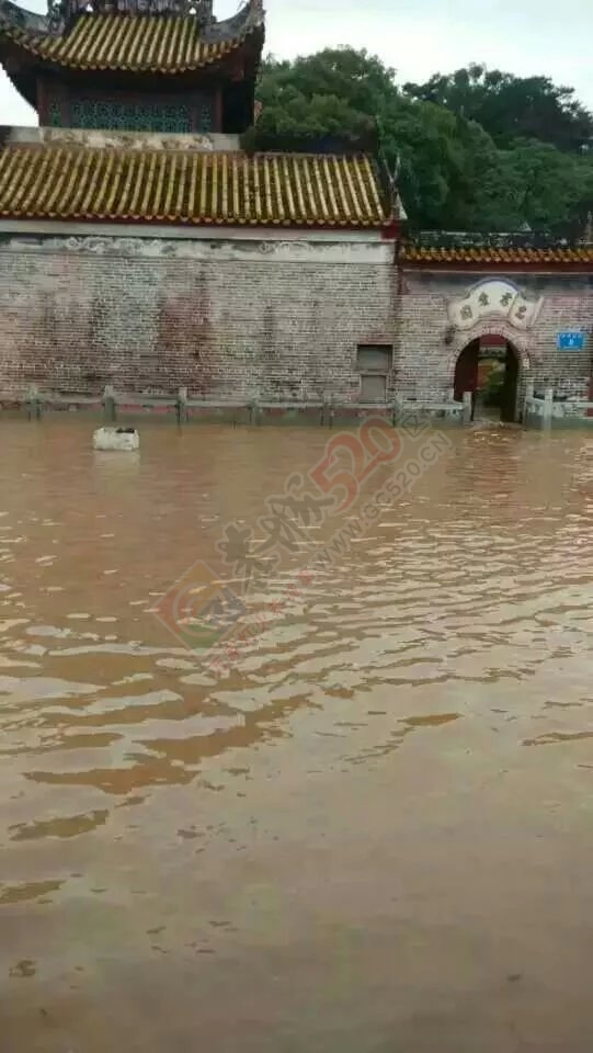 共同祈祷，老天，停停雨吧！620 / 作者:猫小萌 / 帖子ID:116369