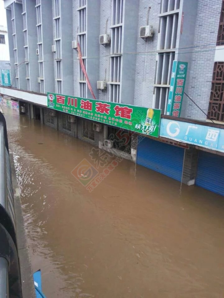 共同祈祷，老天，停停雨吧！700 / 作者:猫小萌 / 帖子ID:116369