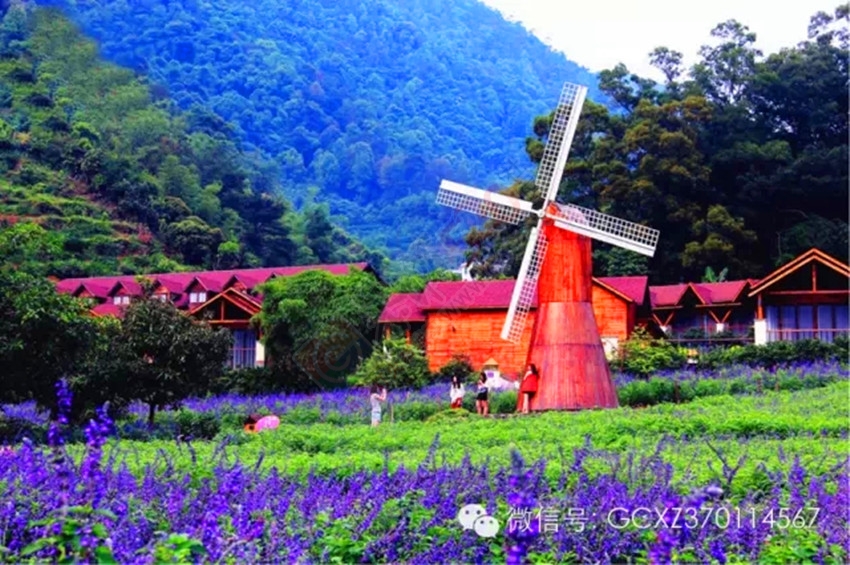 【恭城行者俱乐部】5月30-31日 泡盘龙峡森林温泉，游浪漫薰衣乐园，观瀑布群~！134 / 作者:恭城行者俱乐部 / 帖子ID:116403