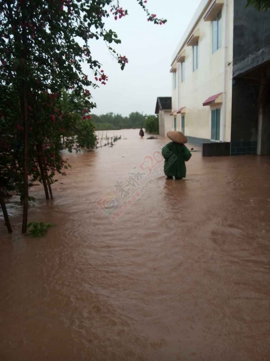 520洪水救灾募捐倡议407 / 作者:恭城蚂蜂 / 帖子ID:116444