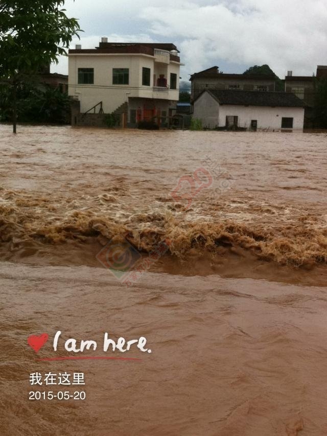 520洪水救灾募捐倡议586 / 作者:恭城蚂蜂 / 帖子ID:116444