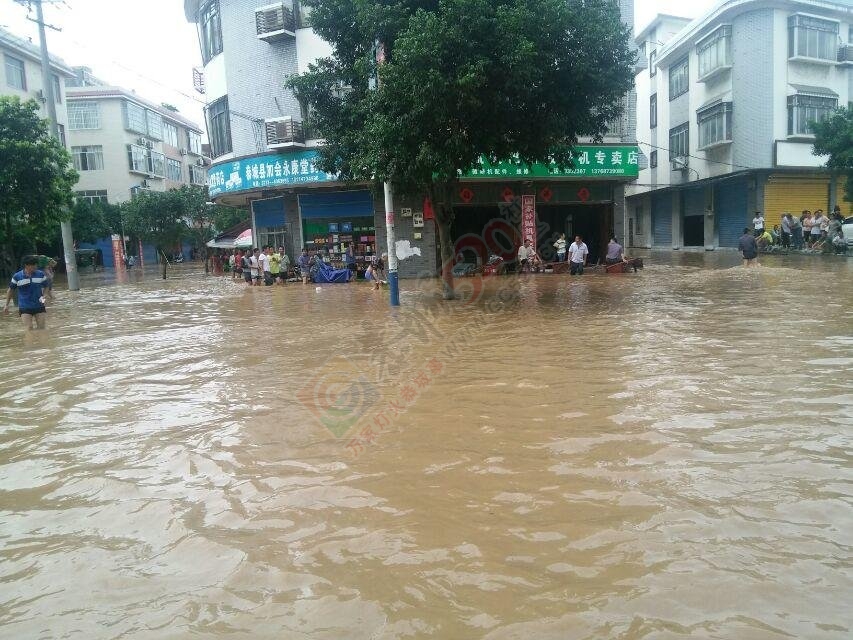 520洪水救灾募捐倡议966 / 作者:恭城蚂蜂 / 帖子ID:116444