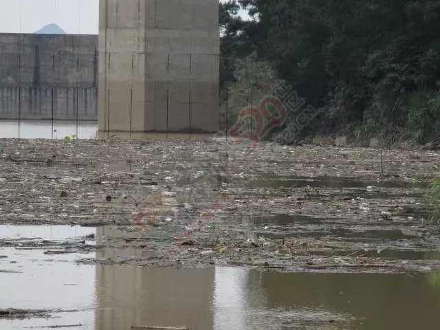 今天上午半天的渔获和一路风景 MDG78 / 作者:小绿 / 帖子ID:116681