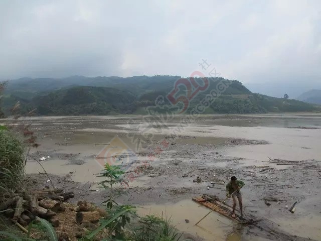 今天上午半天的渔获和一路风景 MDG643 / 作者:小绿 / 帖子ID:116681
