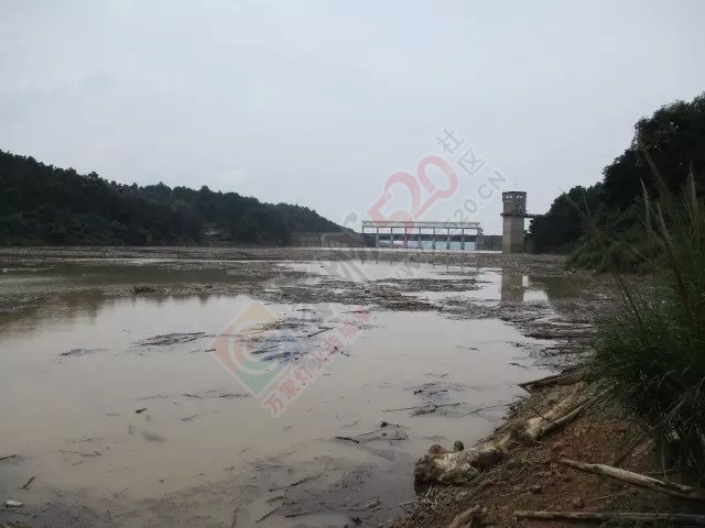 今天上午半天的渔获和一路风景 MDG29 / 作者:小绿 / 帖子ID:116681