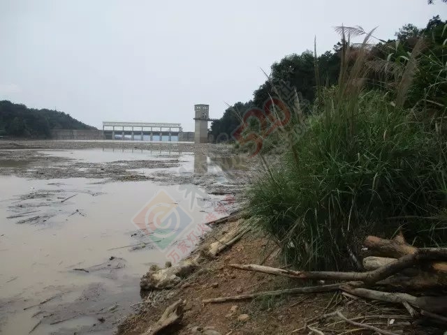 今天上午半天的渔获和一路风景 MDG693 / 作者:小绿 / 帖子ID:116681