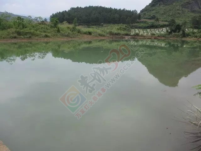 今天上午半天的渔获和一路风景 MDG960 / 作者:小绿 / 帖子ID:116681