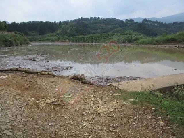 今天上午半天的渔获和一路风景 MDG885 / 作者:小绿 / 帖子ID:116681