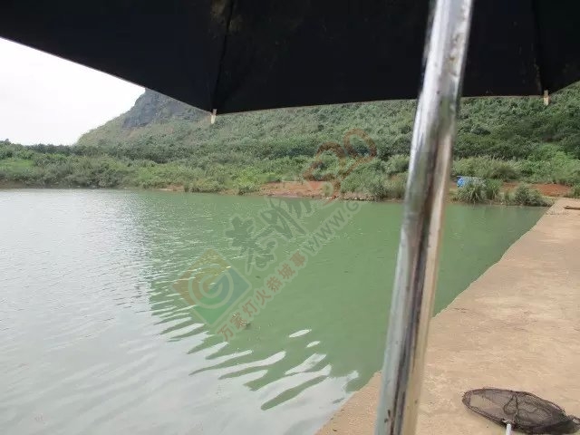 今天上午半天的渔获和一路风景 MDG388 / 作者:小绿 / 帖子ID:116681
