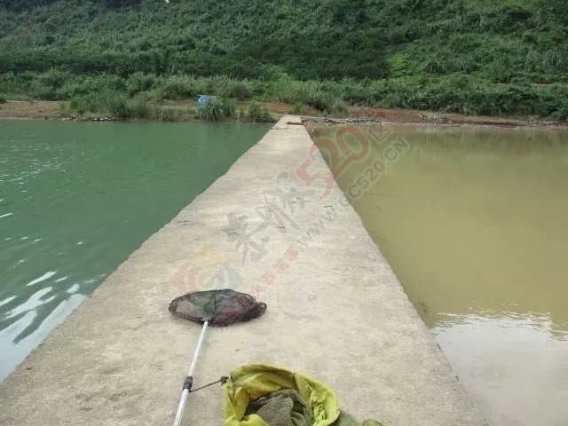 今天上午半天的渔获和一路风景 MDG519 / 作者:小绿 / 帖子ID:116681