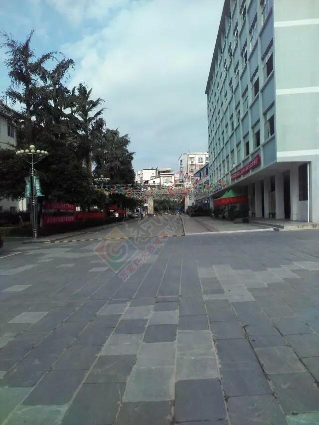 恭中高考氛围正浓，到处是横幅,祝他们高考大捷972 / 作者:猫小萌 / 帖子ID:117179