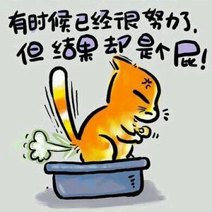 跑遍了恭城，你也就看透了人生945 / 作者:thkfh / 帖子ID:117589