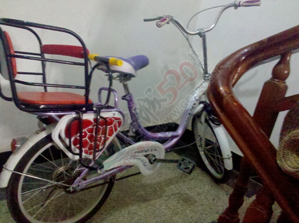 转让一辆凤凰20寸女士自行车890 / 作者:PIKAQ / 帖子ID:117882