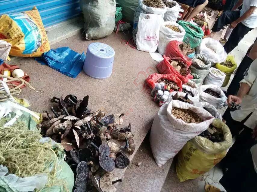 恭城端午药市热闹非凡，瑶医习俗有待发扬光大。990 / 作者:箩筐索 / 帖子ID:118031
