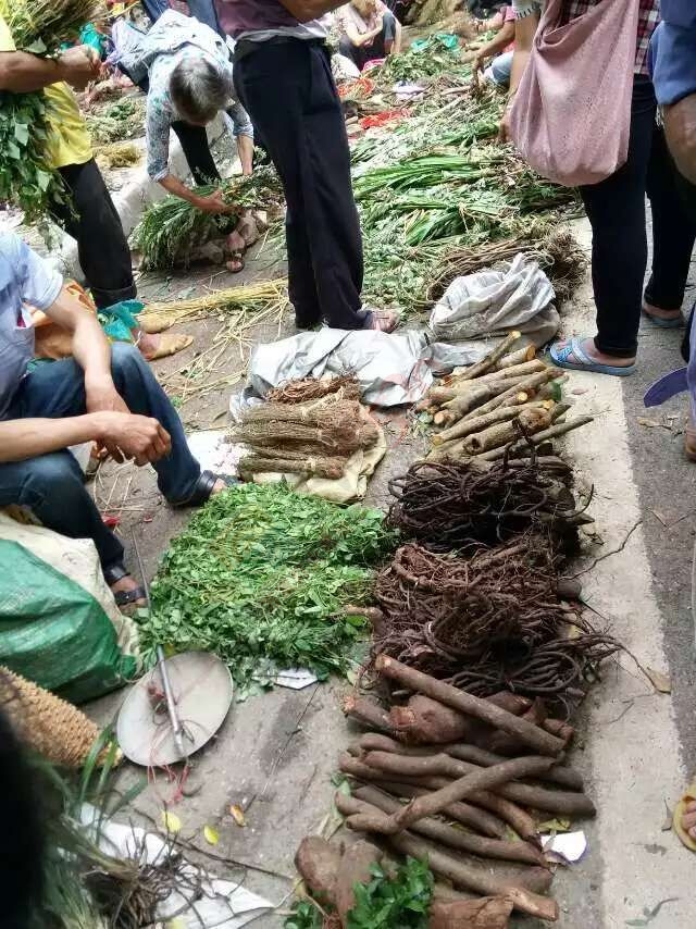 恭城端午药市热闹非凡，瑶医习俗有待发扬光大。786 / 作者:箩筐索 / 帖子ID:118031