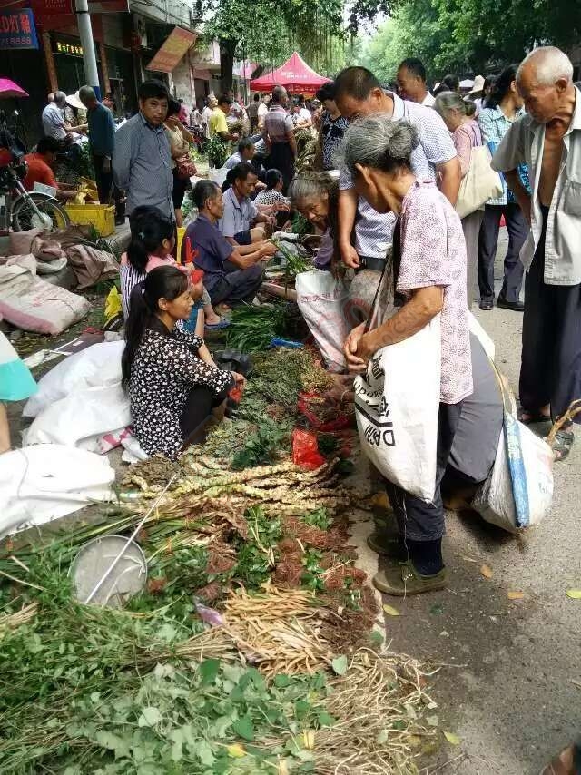 恭城端午药市热闹非凡，瑶医习俗有待发扬光大。983 / 作者:箩筐索 / 帖子ID:118031