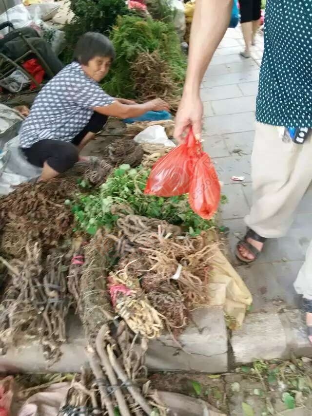 恭城端午药市热闹非凡，瑶医习俗有待发扬光大。911 / 作者:箩筐索 / 帖子ID:118031