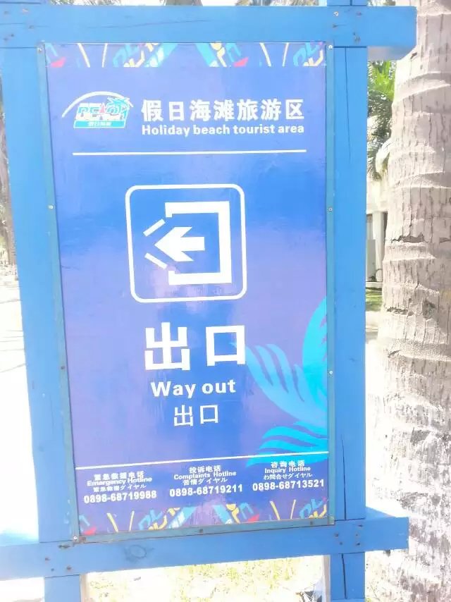 回来黑了一层！晒死人！590 / 作者:猫小萌 / 帖子ID:118542