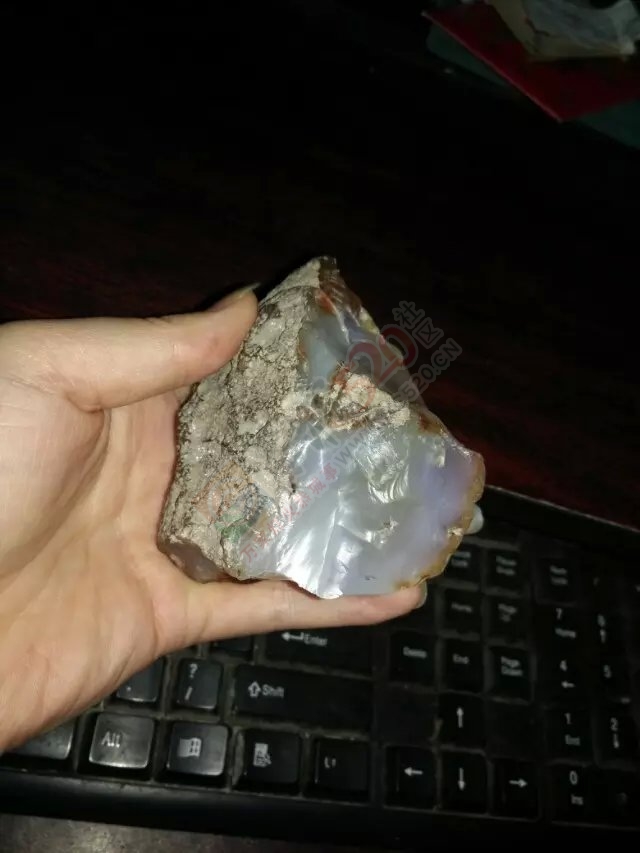 朋友送的905 / 作者:M“私欲 / 帖子ID:118677