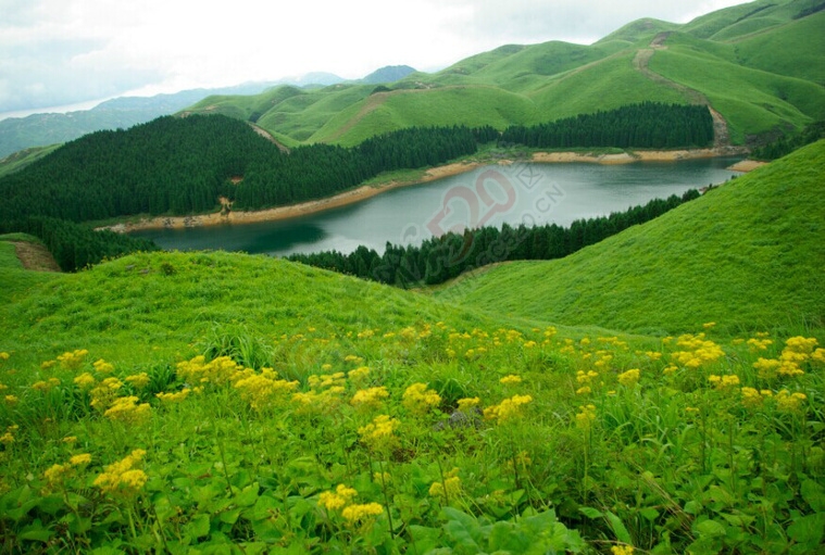 【恭城行者俱乐部】7月18-19日 AA露营最美天湖赏黄花绿草，等你来约~~！994 / 作者:恭城行者俱乐部 / 帖子ID:118679