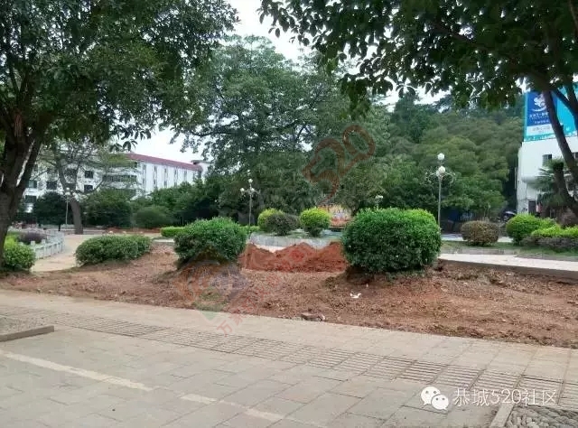 【恭城新闻】满城尽带装修貌 只为等候伊人来810 / 作者:社区小编 / 帖子ID:119111