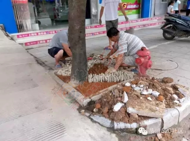 【恭城新闻】满城尽带装修貌 只为等候伊人来263 / 作者:社区小编 / 帖子ID:119111