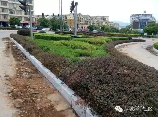 【恭城新闻】满城尽带装修貌 只为等候伊人来264 / 作者:社区小编 / 帖子ID:119111