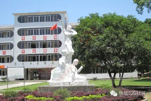 恭城瑶族自治县栗木中学2015年高考喜讯！113 / 作者:社区小编 / 帖子ID:119169