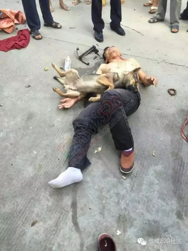恭城又现暴打偷狗贼，莲花蛟津塘偷狗贼被抓，愤怒群众将其暴打856 / 作者:社区小编 / 帖子ID:119593