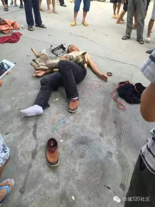 恭城又现暴打偷狗贼，莲花蛟津塘偷狗贼被抓，愤怒群众将其暴打814 / 作者:社区小编 / 帖子ID:119593
