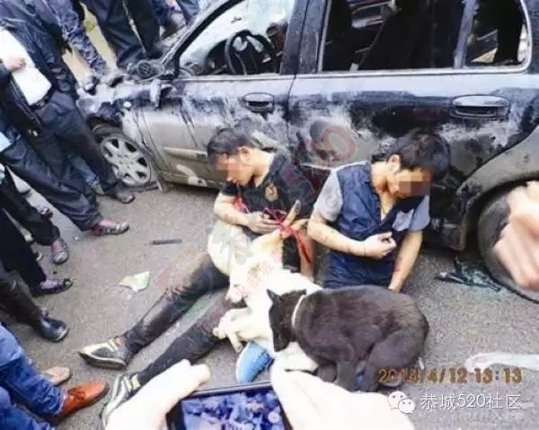 恭城又现暴打偷狗贼，莲花蛟津塘偷狗贼被抓，愤怒群众将其暴打558 / 作者:社区小编 / 帖子ID:119593