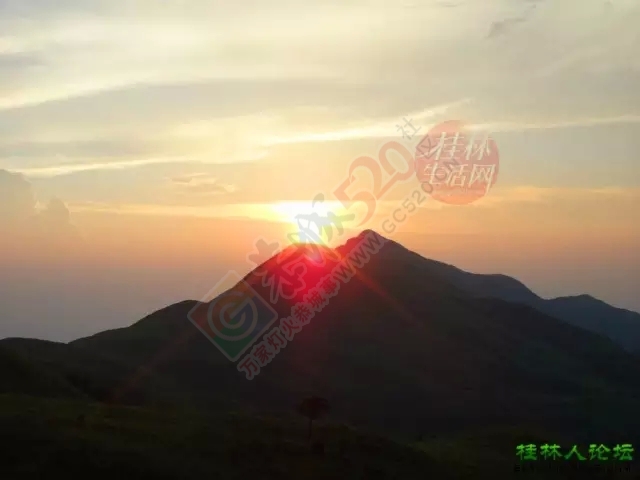 【行周末】想看大草原，想看黄山松，不必远行,恭城就有!229 / 作者:碧澄匀 / 帖子ID:119623