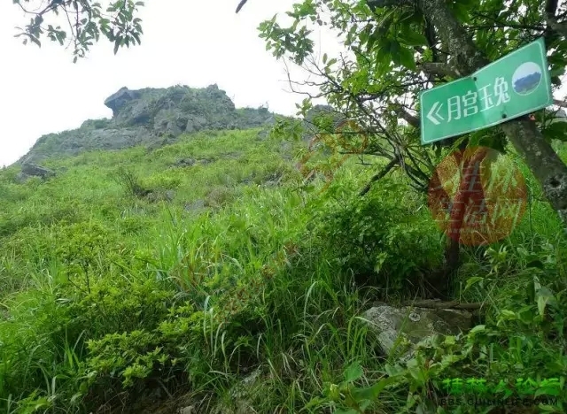 【行周末】想看大草原，想看黄山松，不必远行,恭城就有!204 / 作者:碧澄匀 / 帖子ID:119623