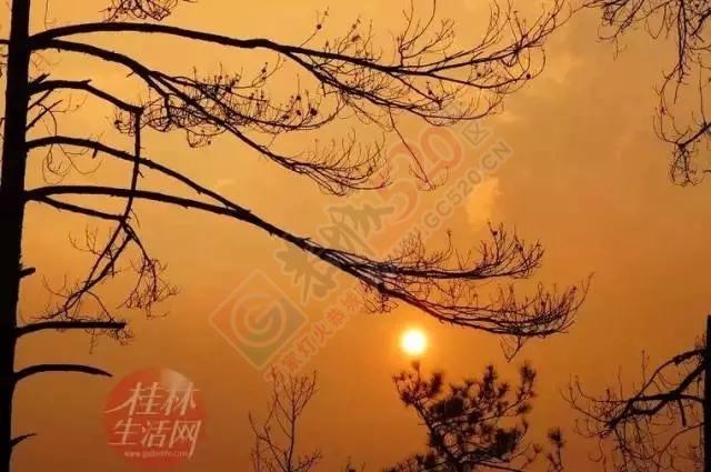 【行周末】想看大草原，想看黄山松，不必远行,恭城就有!366 / 作者:碧澄匀 / 帖子ID:119623