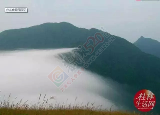 【行周末】想看大草原，想看黄山松，不必远行,恭城就有!178 / 作者:碧澄匀 / 帖子ID:119623
