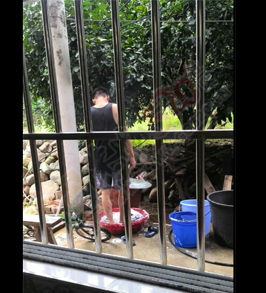 找只金毛2-3个月大600-800的联系14 / 作者:不念冷漠 / 帖子ID:119649