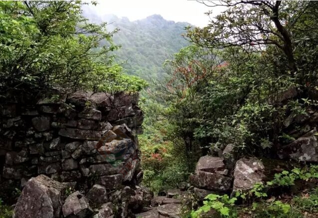大山深处映山红855 / 作者:古建灵韵 / 帖子ID:119740