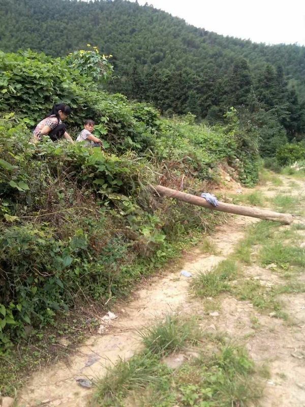 恭城三江分开源东卡惊现车匪路霸！376 / 作者:爱你一辈子 / 帖子ID:119889