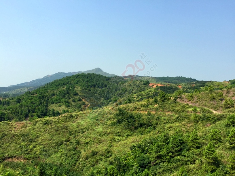山里的风景754 / 作者:康小新 / 帖子ID:119896