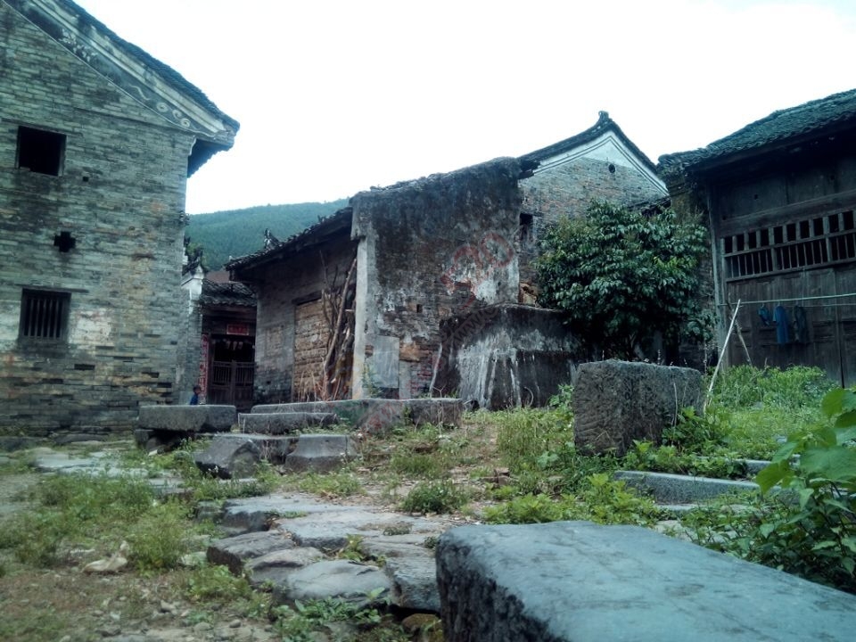 【古建遗珠】探索观音乡杨梅村138 / 作者:社区小编 / 帖子ID:119928