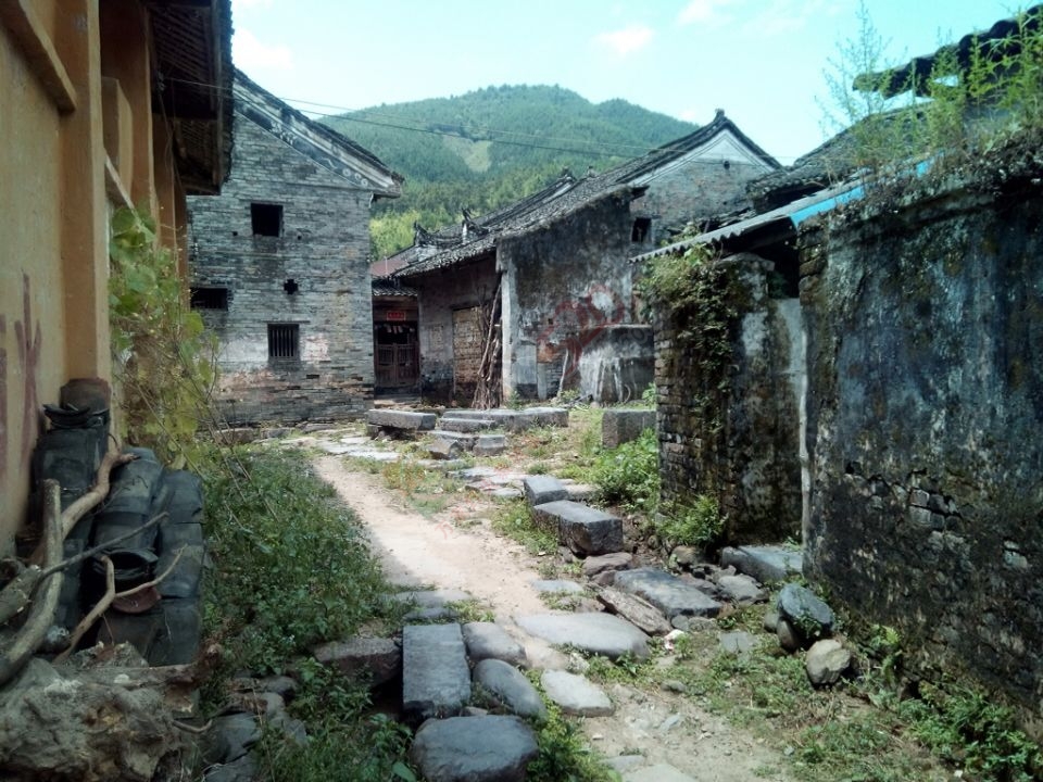 【古建遗珠】探索观音乡杨梅村289 / 作者:社区小编 / 帖子ID:119928