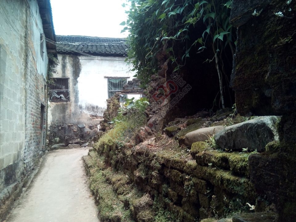 【古建遗珠】探索观音乡杨梅村217 / 作者:社区小编 / 帖子ID:119928