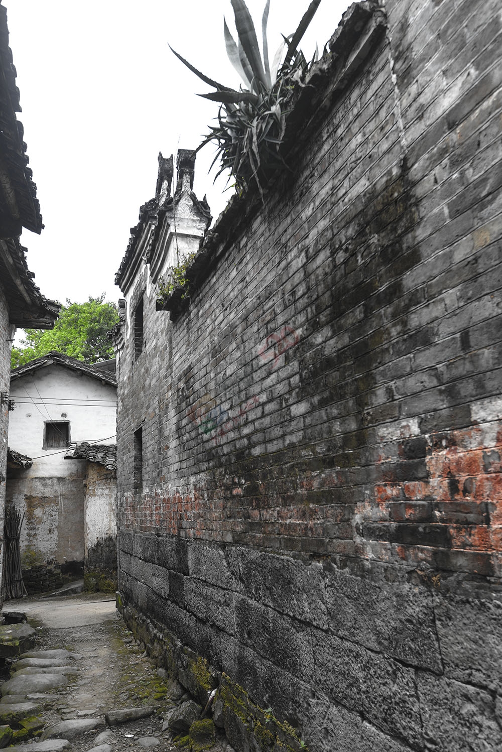 【古建遗珠】探索观音乡杨梅村862 / 作者:新乐文化传媒 / 帖子ID:119928