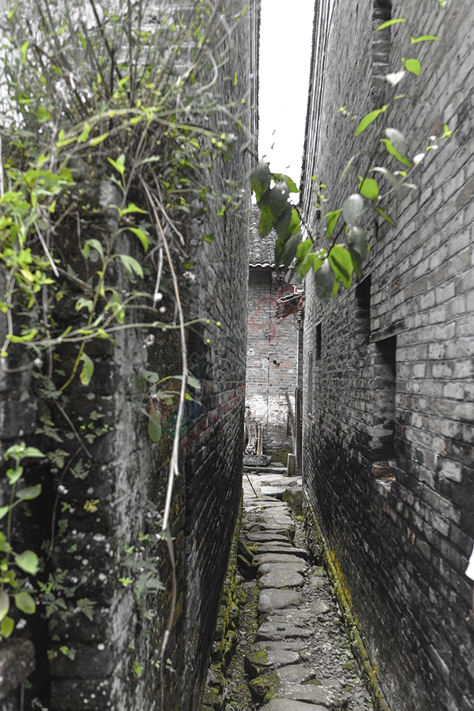 【古建遗珠】探索观音乡杨梅村294 / 作者:新乐文化传媒 / 帖子ID:119928